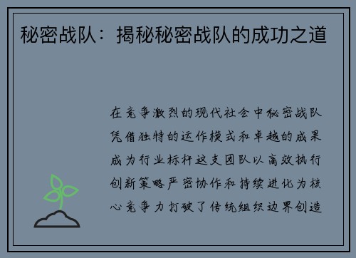 秘密战队：揭秘秘密战队的成功之道