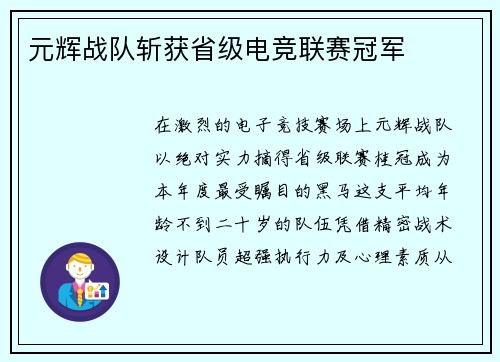 元辉战队斩获省级电竞联赛冠军